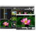 FastStone Image Viewer FastStone Image Viewer